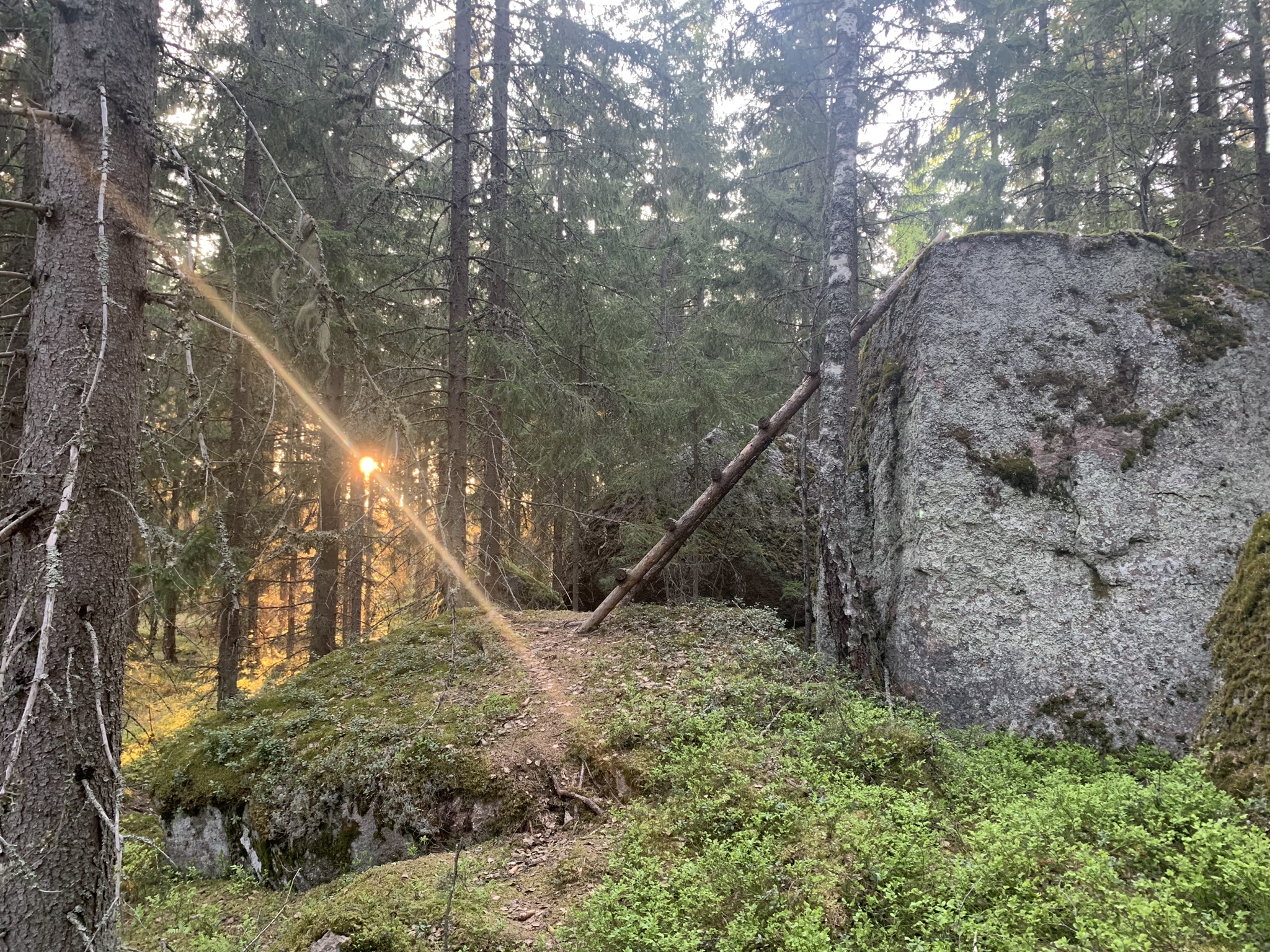 Palautumisvalmennus tunnelma